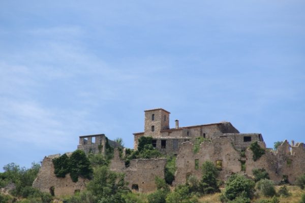 bras-d-asse_146991