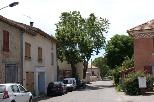 bras-d-asse_146994