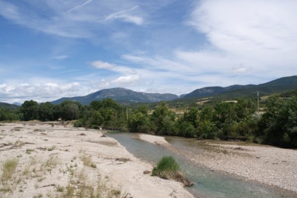 bras-d-asse_146995