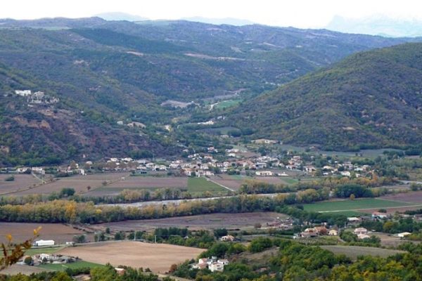 bras-d-asse_299095